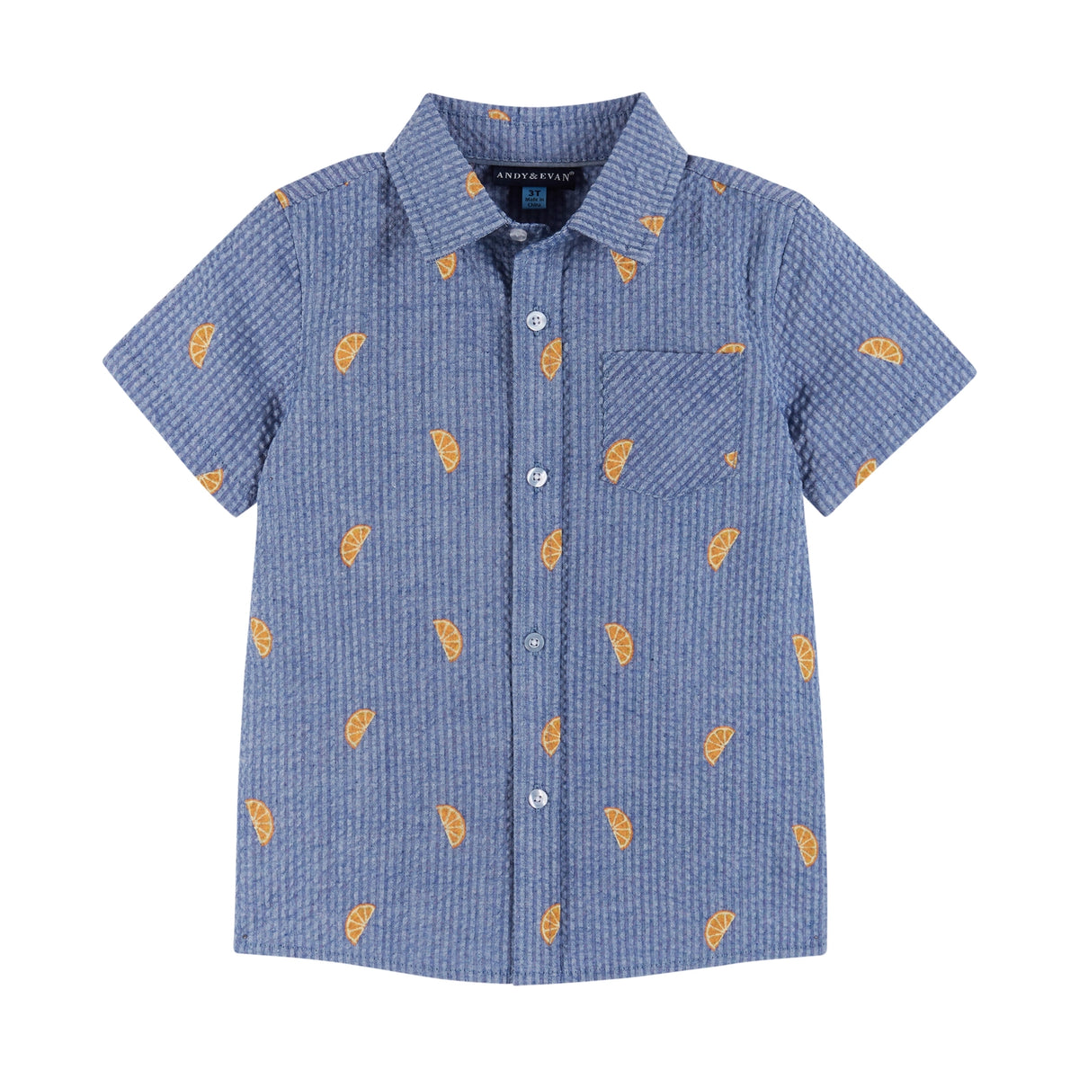 Boys Toddler Seersucker Button down & Shorts Set